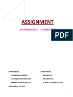 Assignment: Mathematics Laboratory