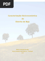 Caracterização Socio Económica Distrito de Beja - 2008