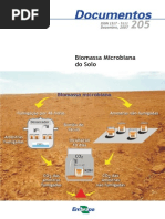 Biomassa Microbiana Do Solo (3)