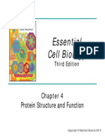 Essential Cell Biology: Protein Structure and Function