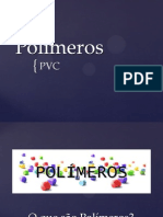 Slide Polímero