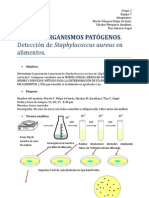 Staphylococcus Aureus