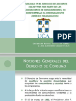 Monografia Viabilidad de la Introduccion de Acciones Colectivas en Nuestro Ordenamiento Juridico para la defensa de los Derechos de los Consumidores y Usuarios