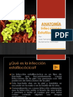 ANATOMIA Infecciones Estafilocócicas