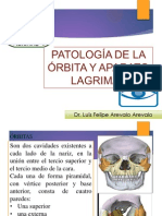 Patologias de La Orbita y Lagrimales