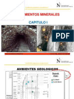 2. Mineralogia y Petrología