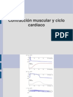 Contraccion Del Musculo Cardiaco, Ciclo Cardiaco y Volumen Minuto