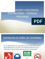 Se Alizacion -Seguridad - Normas Peruanas[1]