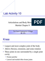 Lab Activity 10: Articulations and Body Movements Martini Chapter 9