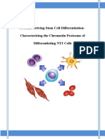 Proteins Driving Stem Cell Differentiation: Characterising The Chromatin Proteome of Differentiating NT2 Cells