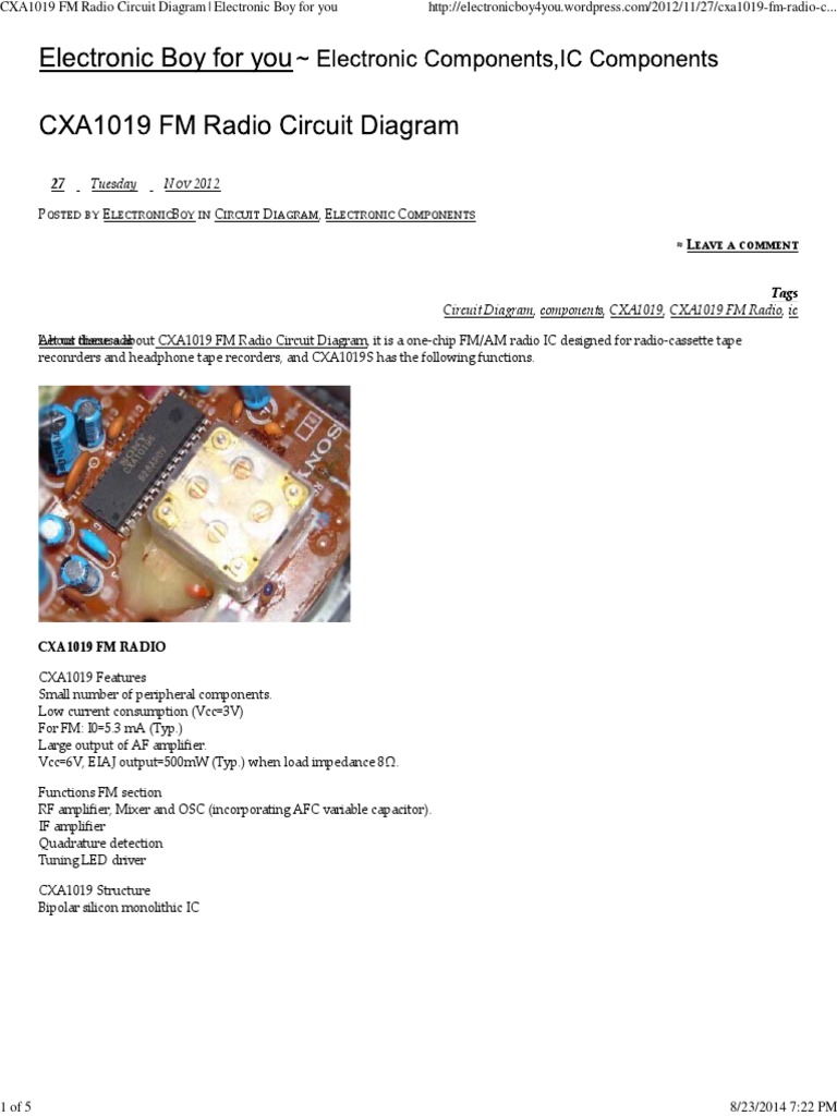 Cxa1019 Fm Radio Circuit Diagram Wireless Electronic Engineering