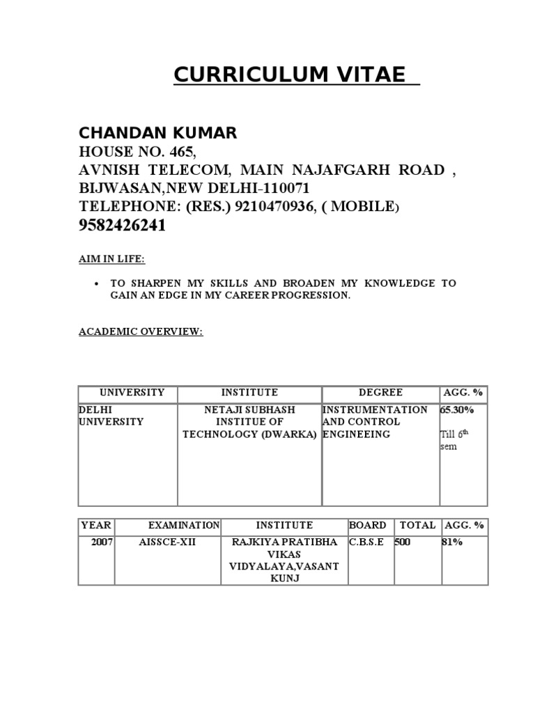 Chandan Kumar's Professional CV | PDF | Learning | Cognition