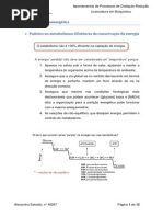 RESUMOS PROCESSOS.pdf