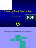Urinary Tract Obstruction: DR Marzuki Yusuf Spu