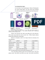 Morfologi Dan Struktur Seluler Virus