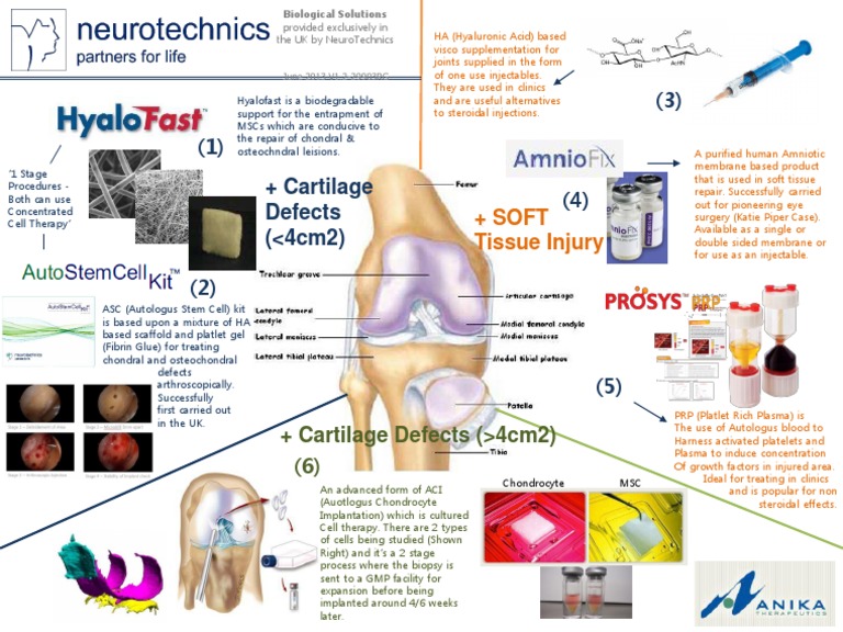ASC (Auto Stem Cell) Kit | PDF