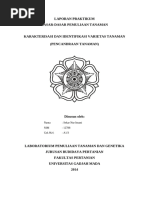 Download daspemul acara 1-pencandraan tanaman by Sekar Nur Insani SN240436527 doc pdf