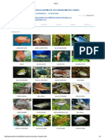 Fish Gallery