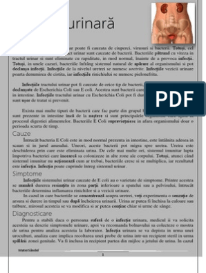 Infecția Urinară | PDF