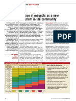 Using maggots in wound care