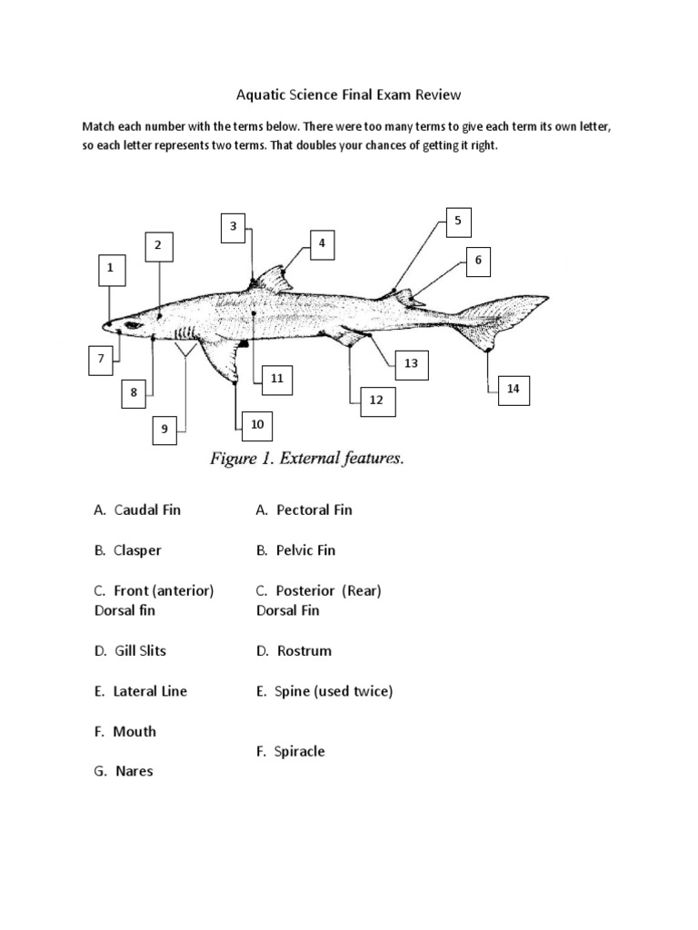 Aquatic Science Final Exam Review.docx