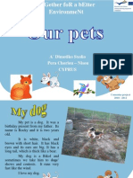 Our pets