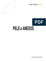 34. Pele e Anexos_Atlas