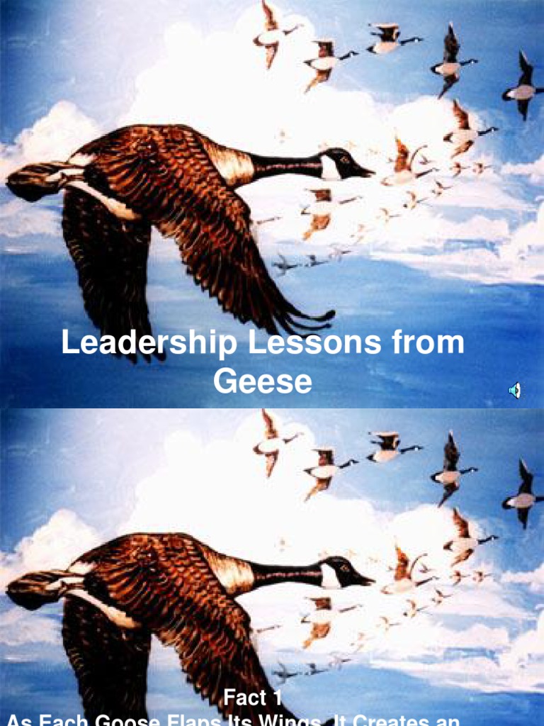 Leadership Lessons from Geese How Flying in Formation Can Teach Us