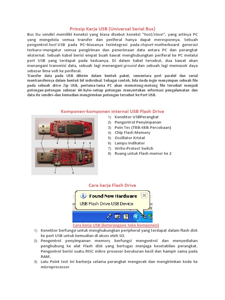 Usb Flashdrive & SD Card | PDF