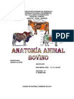 Anatomia Producción Animal