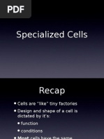 Download Cell Specialization by Matt Nupen SN24046124 doc pdf