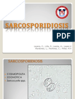 Sarcosporidisis3