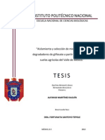 TESIS Aislamiento y Seleccion de Microorganismos Degradadores de Glifosato A Partir de Muestras de Suelos Agricolas Del Valle de Mexico