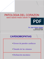 Clase 4. Cardiomiopatias