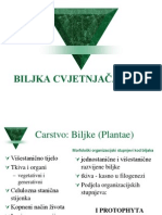 Biljka Cvjetnjaca