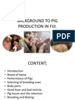Background To Pig Production in Fiji