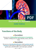 02 Excretion