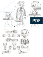 Repaso Cuerpo Humano 06 03