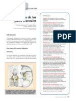 Patologia de Los Nervios Craneales