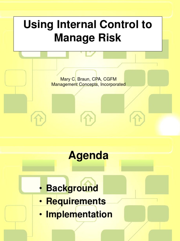 Internal Control for Risk Management | PDF | Business | Economies