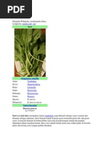 Download Sawi ilaaaaaaaaa by Toeny Gepenk TukIkya SN240507488 doc pdf