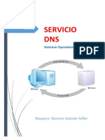 Informe Servicio DNS