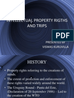 Intellectual Property Rights and Trips
