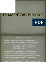 Filamentous Bulking