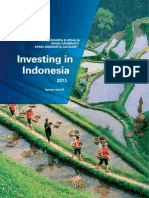Investing in Indonesia 2013