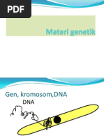 Download Materi Genetik by dimas_dwi_kurniawan SN240527538 doc pdf