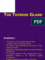 The Thyroid Gland
