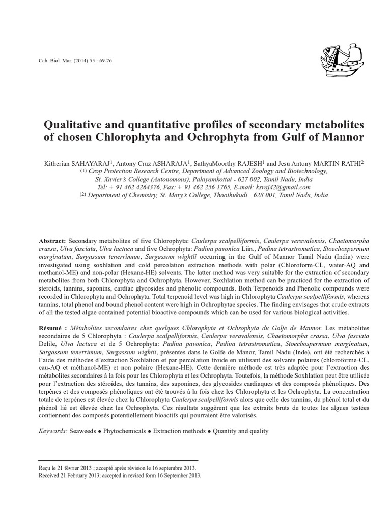 Thesis on herbal medicine picture