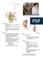 Anatomy