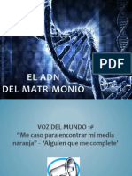 El Adn Del Matrimonio